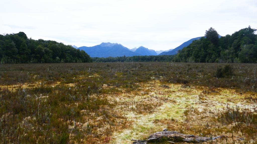 693 - 20190115 Kepler Track Day2