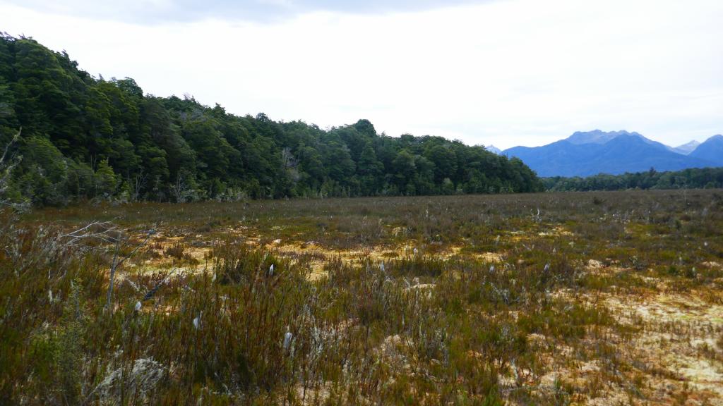 695 - 20190115 Kepler Track Day2