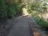 103 - 20200617 Rhus Ridge Black Mountain RSA