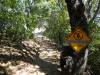 107 - 20200617 Rhus Ridge Black Mountain RSA