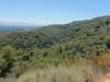 109 - 20200617 Rhus Ridge Black Mountain RSA