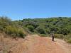 140 - 20200617 Rhus Ridge Black Mountain RSA