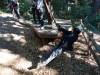 111 - 20201019 Mt Hermon Tree Top Garden of Eden