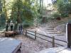 112 - 20201019 Mt Hermon Tree Top Garden of Eden