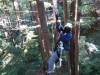 113 - 20201019 Mt Hermon Tree Top Garden of Eden