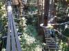 114 - 20201019 Mt Hermon Tree Top Garden of Eden