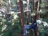 115 - 20201019 Mt Hermon Tree Top Garden of Eden