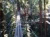 116 - 20201019 Mt Hermon Tree Top Garden of Eden