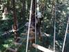 118 - 20201019 Mt Hermon Tree Top Garden of Eden