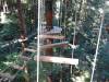 120 - 20201019 Mt Hermon Tree Top Garden of Eden