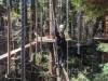 123 - 20201019 Mt Hermon Tree Top Garden of Eden