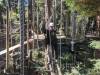 124 - 20201019 Mt Hermon Tree Top Garden of Eden