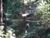 127 - 20201019 Mt Hermon Tree Top Garden of Eden