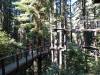 128 - 20201019 Mt Hermon Tree Top Garden of Eden