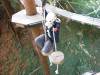 133 - 20201019 Mt Hermon Tree Top Garden of Eden