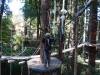 138 - 20201019 Mt Hermon Tree Top Garden of Eden
