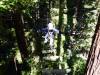 139 - 20201019 Mt Hermon Tree Top Garden of Eden