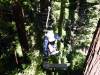 140 - 20201019 Mt Hermon Tree Top Garden of Eden