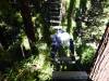 141 - 20201019 Mt Hermon Tree Top Garden of Eden