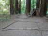 145 - 20201019 Mt Hermon Tree Top Garden of Eden