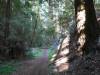 107 - 20210410 El Corte de Madera Creek Preserve