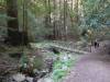 110 - 20210410 El Corte de Madera Creek Preserve