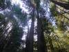 111 - 20210410 El Corte de Madera Creek Preserve