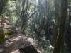 114 - 20210410 El Corte de Madera Creek Preserve