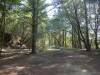 118 - 20210410 El Corte de Madera Creek Preserve
