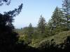 119 - 20210410 El Corte de Madera Creek Preserve