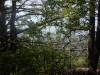 120 - 20210410 El Corte de Madera Creek Preserve
