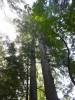 123 - 20210410 El Corte de Madera Creek Preserve