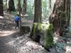 125 - 20210410 El Corte de Madera Creek Preserve