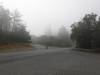 102 - 20210529 Portola Redwood SP