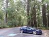 106 - 20210529 Portola Redwood SP
