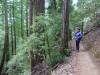 117 - 20210529 Portola Redwood SP