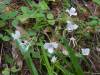 123 - 20210529 Portola Redwood SP
