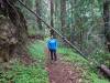 136 - 20210529 Portola Redwood SP