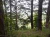 142 - 20210529 Portola Redwood SP