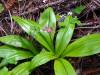 147 - 20210529 Portola Redwood SP