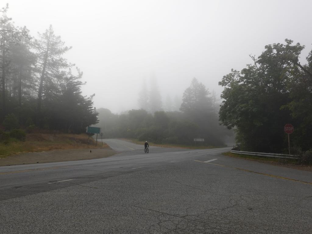102 - 20210529 Portola Redwood SP