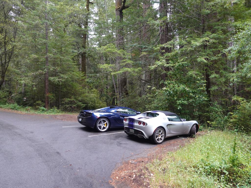 114 - 20210529 Portola Redwood SP