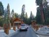 105 - 20210716 Kings Canyon Alta To Silliman