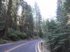 107 - 20210716 Kings Canyon Alta To Silliman
