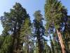 111 - 20210716 Kings Canyon Alta To Silliman