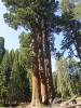 113 - 20210716 Kings Canyon Alta To Silliman