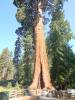 116 - 20210716 Kings Canyon Alta To Silliman