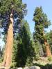 119 - 20210716 Kings Canyon Alta To Silliman