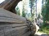 123 - 20210716 Kings Canyon Alta To Silliman