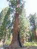 126 - 20210716 Kings Canyon Alta To Silliman